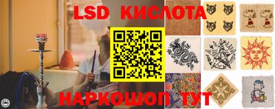 крисы Аргун