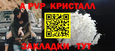 крисы Аргун